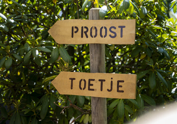 SFERA - 20 juni 2025 - Bruiloft Maarten & Nicole-02856.jpg