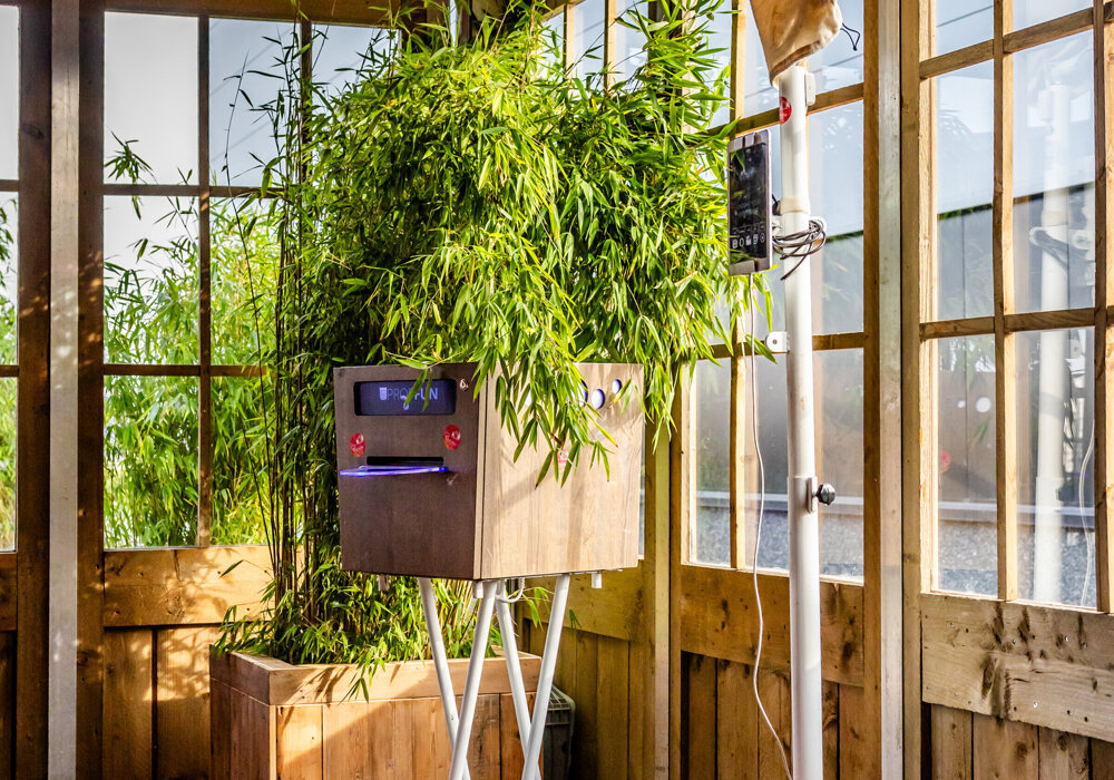 Sfera - Kusters (5 of 36).jpg